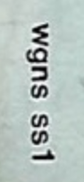 WGNS ss1